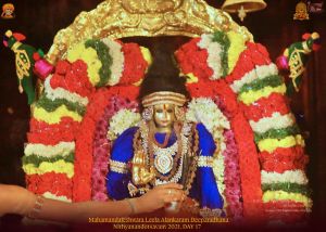 ADIKAILASA-2022-01-17-1dD0IrvfJJgvB YotLKncLMqzrElCwEWc.jpg