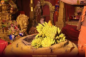 ADIKAILASA-2022-03-13-1MtOyNBYJS6m-qnkw3hgJjMh7McTqI8HN.jpg