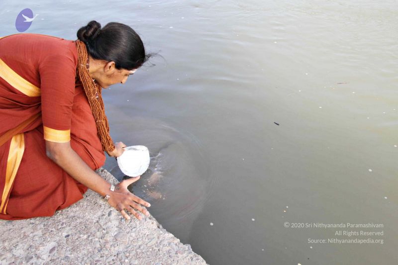 File:Batch20140318 7355 CMP WM.jpg