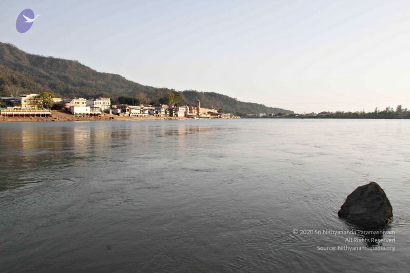 File:Batch20140318 7417 CMP WM.jpg