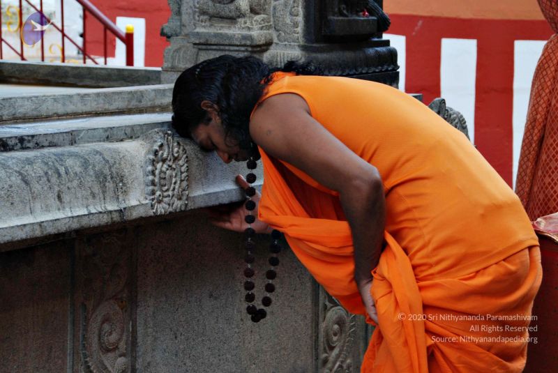 File:Batch 20100912 2768 CMP WM.jpg