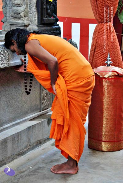 File:Batch 20100912 2769 CMP WM.jpg