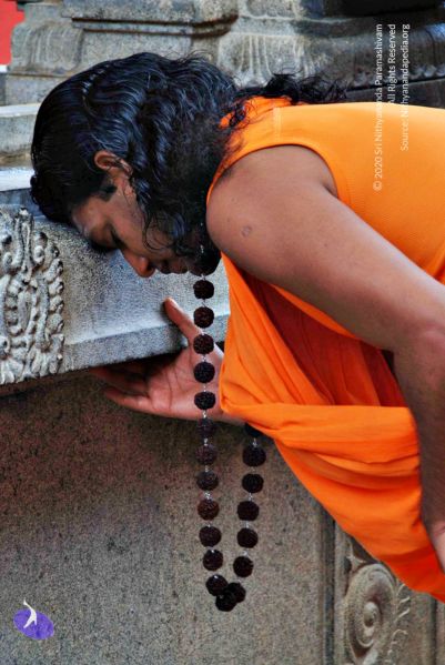 File:Batch 20100912 2771 CMP WM.jpg