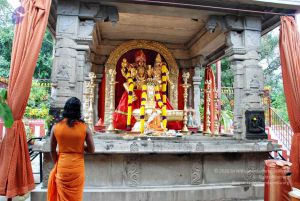 Batch 20100912 2773 CMP WM.jpg