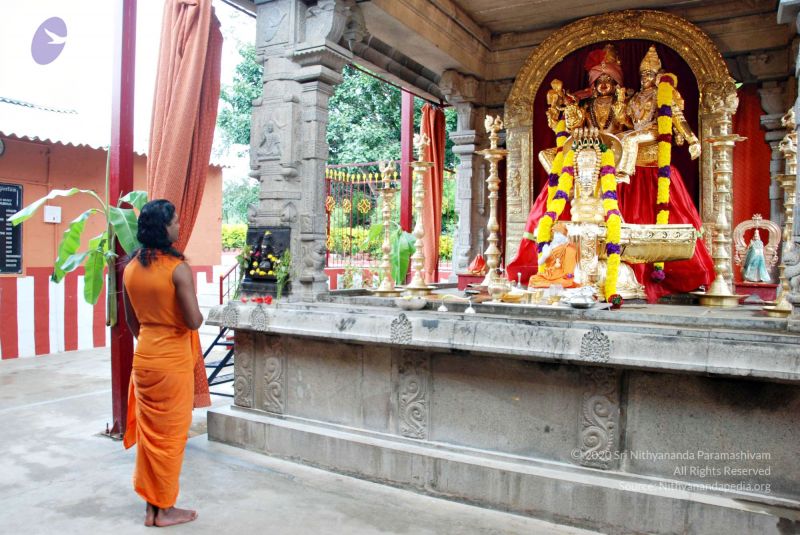 File:Batch 20100912 2774 CMP WM.jpg