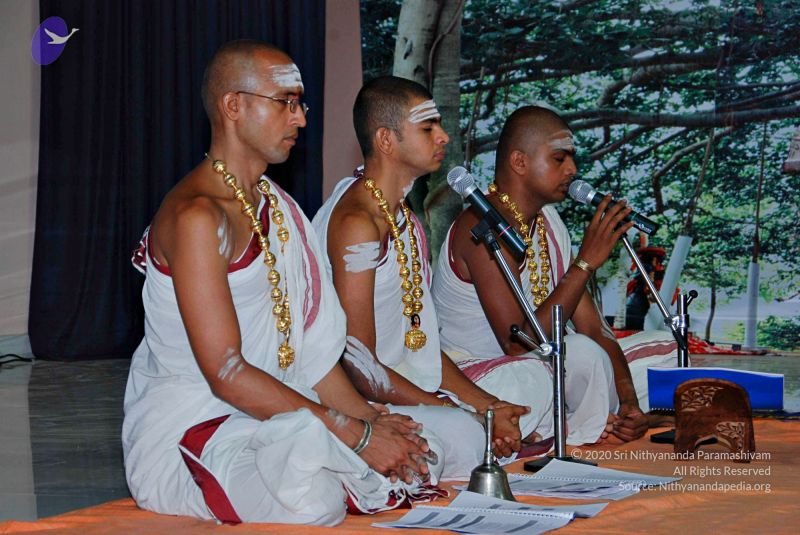 File:Batch 20100912 2787 CMP WM.jpg