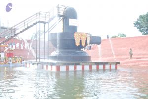 Batch 20100912 3416 CMP WM.jpg