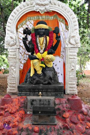 Batch 20130911 0605 CMP WM.jpg