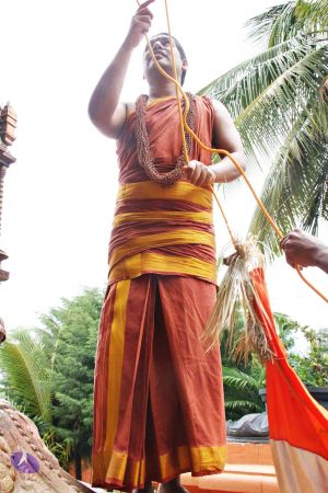 Batch 20130911 0775 CMP WM.jpg