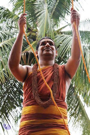 Batch 20130911 0803 CMP WM.jpg