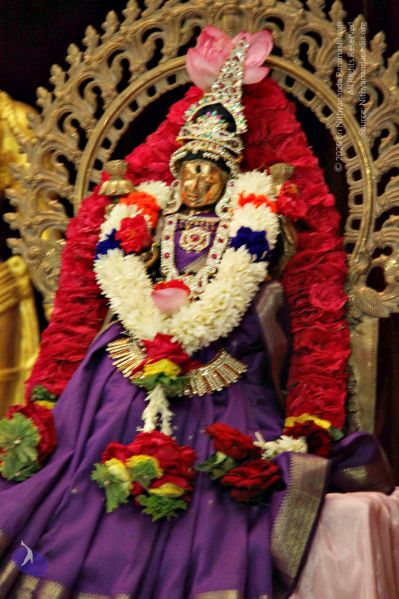 File:Batch 20131009 4037 CMP WM.jpg