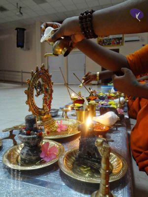 Batch 20140129 00195 CMP WM.jpg