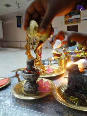 Batch 20140129 00196 CMP WM.jpg