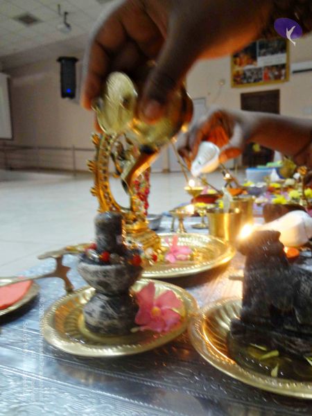 File:Batch 20140129 00196 CMP WM.jpg