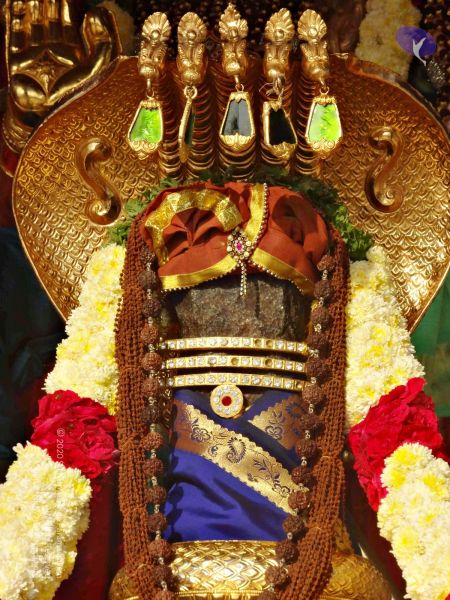 File:Batch 20140202 00364 CMP WM.jpg