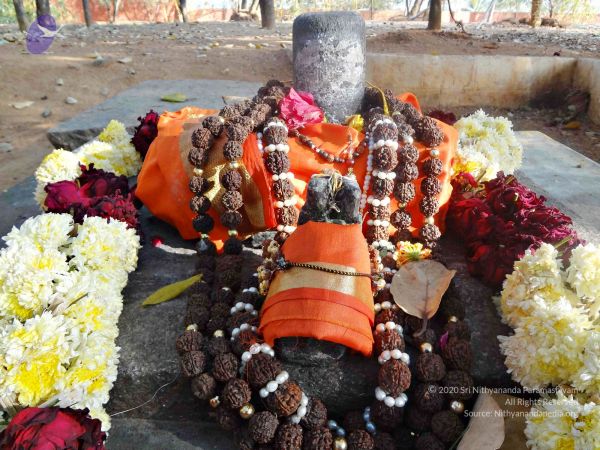 Batch 20140202 00376 CMP WM.jpg