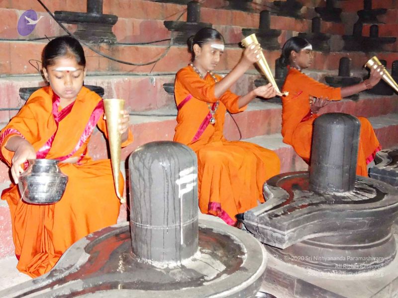 File:Batch 20140203 00418 CMP WM.jpg