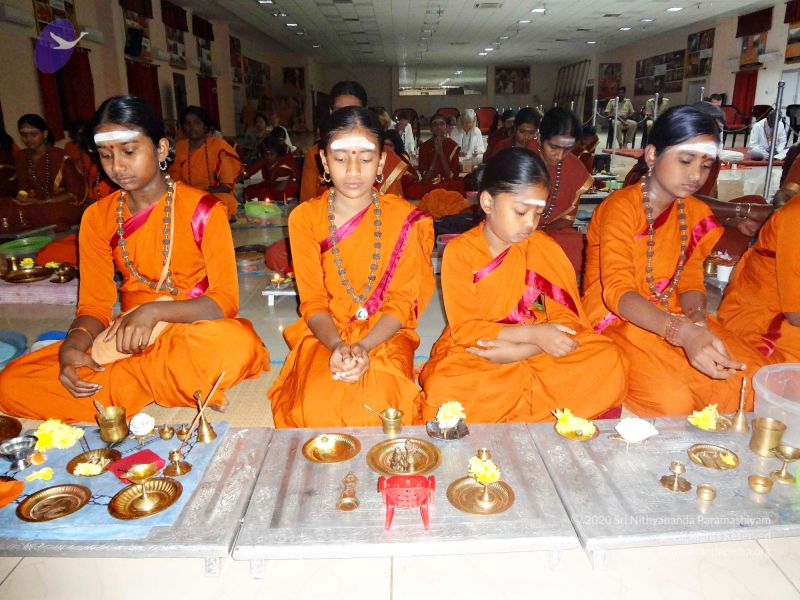 File:Batch 20140203 00443 CMP WM.jpg