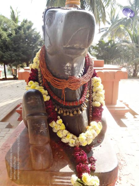 File:Batch 20140204 00514 CMP WM.jpg