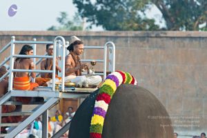 Batch 20161016 5329 CMP WM.jpg