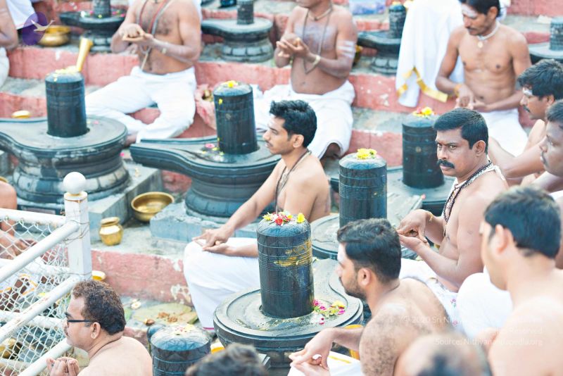 File:Batch 20161016 5357 CMP WM.jpg