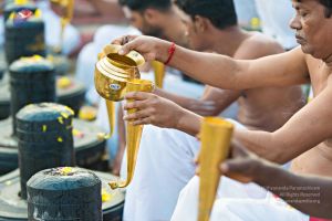 Batch 20161016 5361 CMP WM.jpg