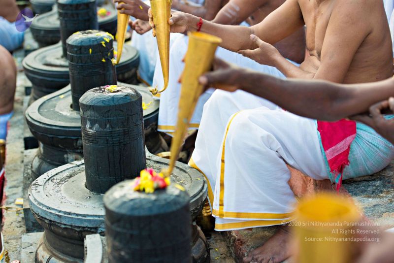 File:Batch 20161016 5362 CMP WM.jpg