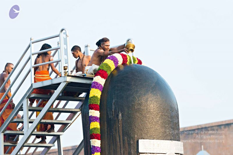 File:Batch 20161016 5366 CMP WM.jpg