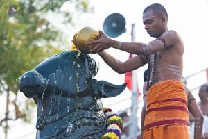 Batch 20161016 5381 CMP WM.jpg