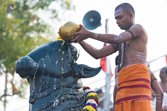 Batch 20161016 5381 CMP WM.jpg