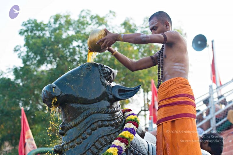 File:Batch 20161016 5389 CMP WM.jpg