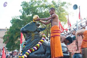 Batch 20161016 5390 CMP WM.jpg