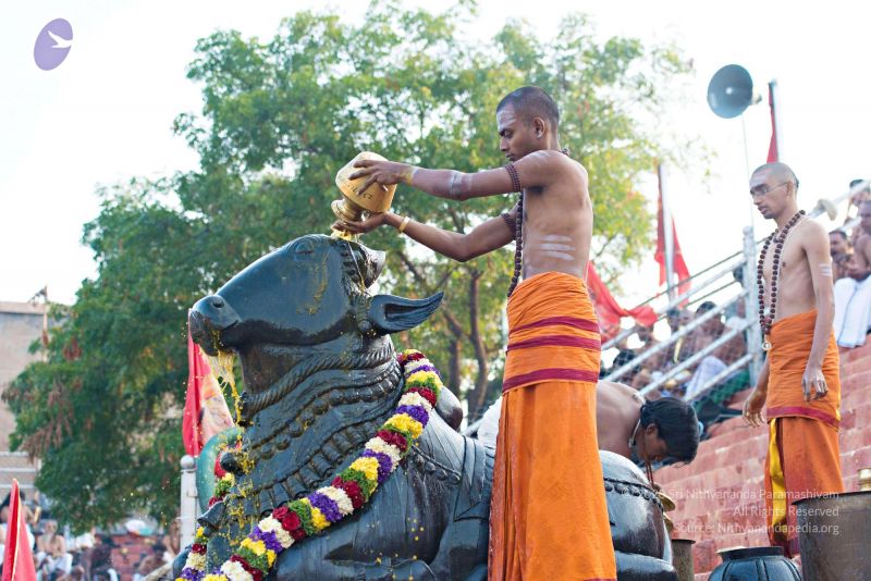 File:Batch 20161016 5392 CMP WM.jpg