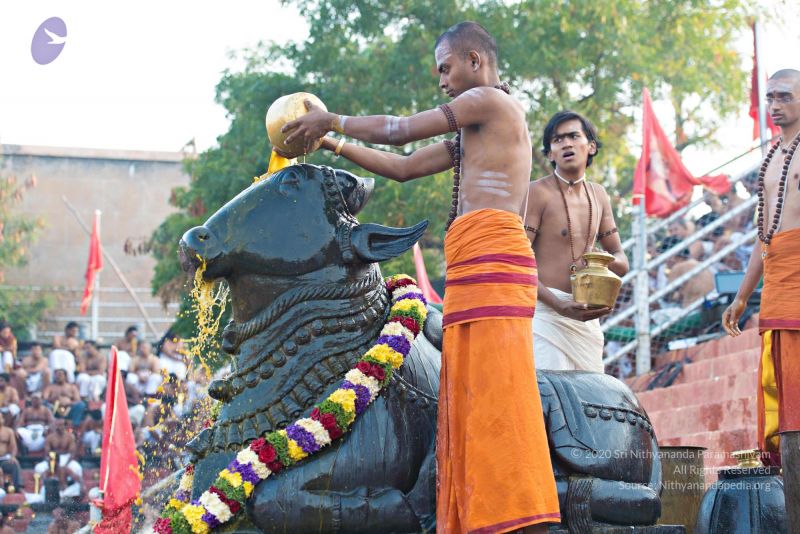 File:Batch 20161016 5393 CMP WM.jpg