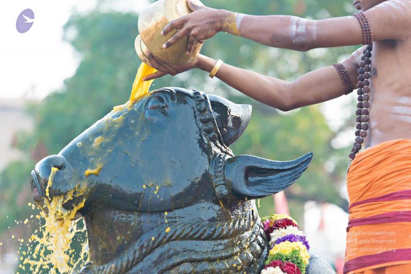 File:Batch 20161016 5400 CMP WM.jpg