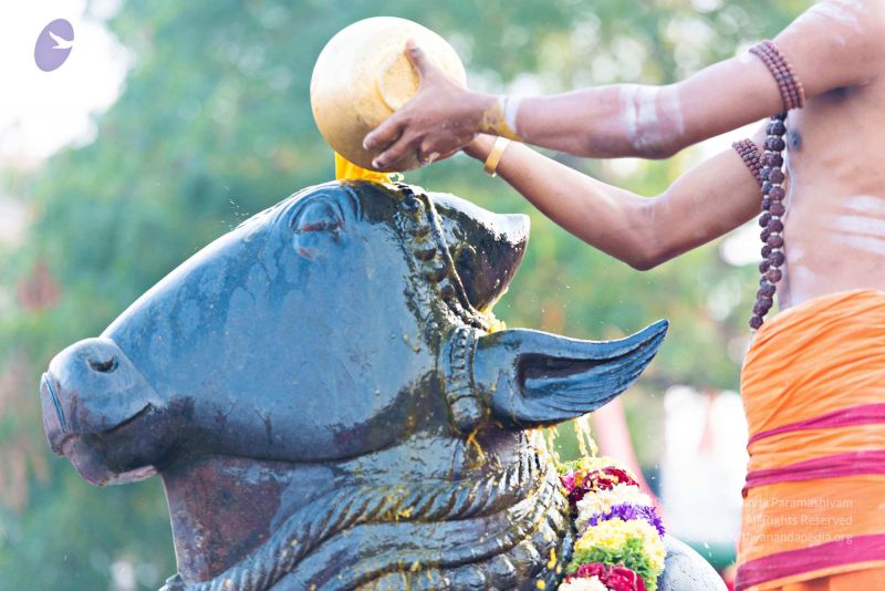 File:Batch 20161016 5405 CMP WM.jpg