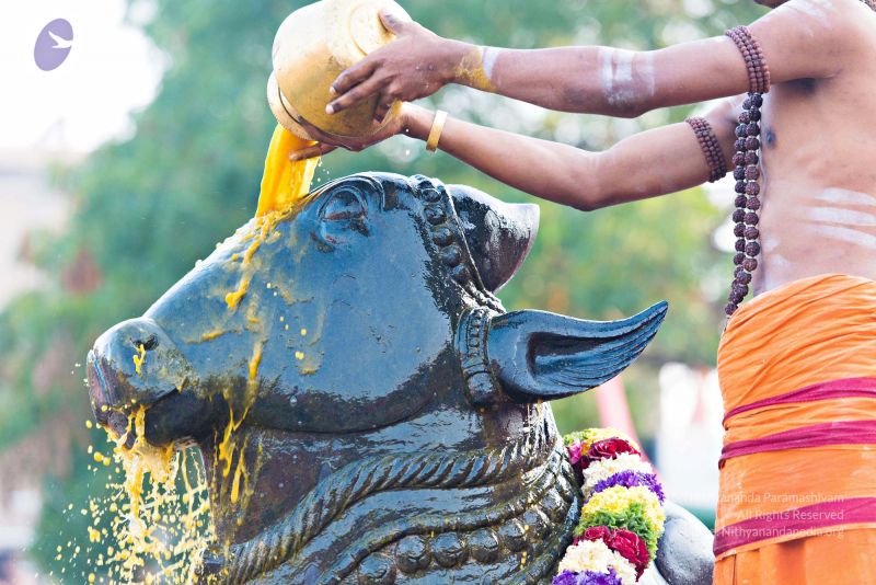 File:Batch 20161016 5407 CMP WM.jpg