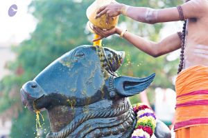 Batch 20161016 5409 CMP WM.jpg