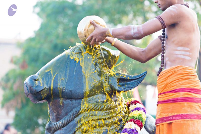 File:Batch 20161016 5411 CMP WM.jpg