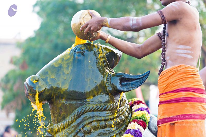 File:Batch 20161016 5413 CMP WM.jpg