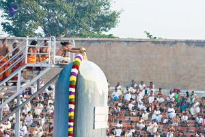 Batch 20161016 5432 CMP WM.jpg