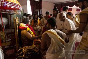 Batch 20161016 5729 CMP WM.jpg