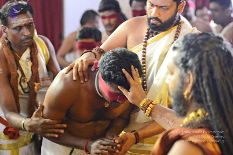 File:Batch 20161016 5887 CMP WM.jpg