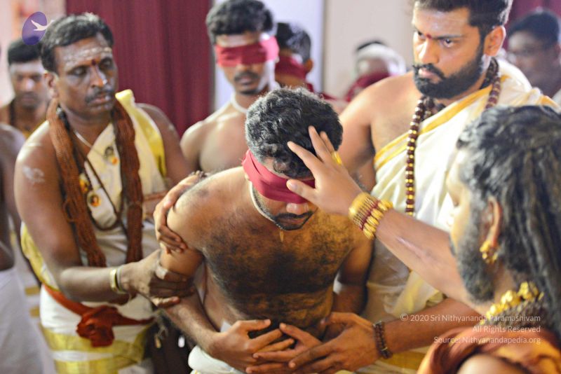 File:Batch 20161016 5890 CMP WM.jpg