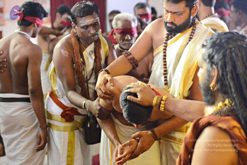 File:Batch 20161016 5891 CMP WM.jpg