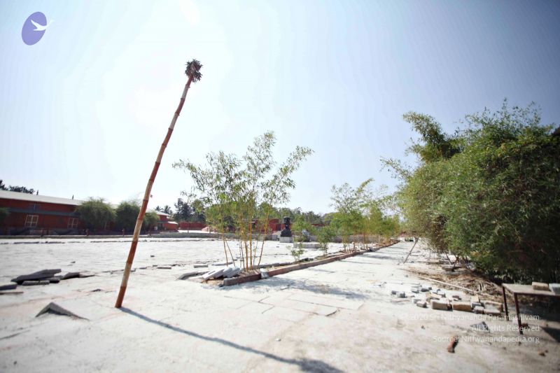 File:Batch 20170117 8443 CMP WM.jpg