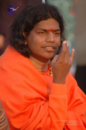 Batch DSC 5153 CMP WM.jpg