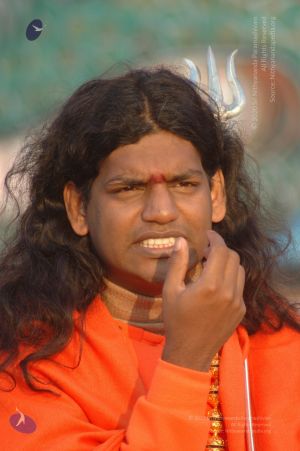 Batch DSC 5274 CMP WM.jpg