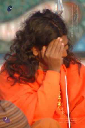 Batch DSC 5304 CMP WM.jpg