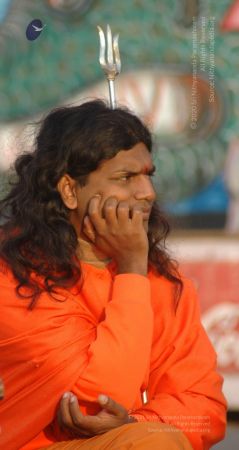 Batch DSC 5348 CMP WM.jpg